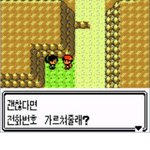 처음으로<b>번호</b>따임!!!!!인증ㅋㅋ