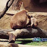 ★★★일본3대얼짱