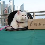 도와주고싶은 지방대생 공모전 도전기.