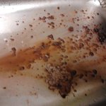 ★★핫초코에서 <b>애벌</b>래 나왓어요★★