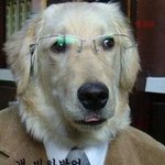 ★★<b>추천추천</b>★★짤방모음★★<b>추천추천</b>★★