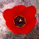 첫 데이트 하고 왔습니다....ㅎㅎ