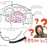<b>안영미</b>(김꽃두레) 뇌구조.jpg