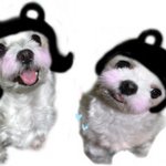 　　　　　　　누워 <b>자자</b>♥