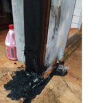 울집 개님이 저지른 방화사건 (후기 사진 有)