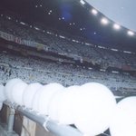 ★☆★<b>엘프</b> 캉 다들어와봐요ㅡㅡ★