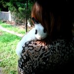 이거는 내 토끼다 3탄 (사진 有)