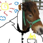 나 투<b>블럭</b>쳤는데 어울린지 좀 봐줘