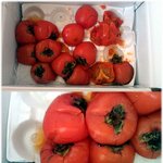 대한<b>통운</b> 서비스 참 ^^멋지내요