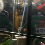 ★★ 런닝맨 손예진 스포 사진 유재석과같이~★★