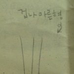 사진有) 여자들의 다리<b>종류</b>