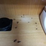 어떻게 해야 저희 대학교 기숙사가 고쳐질까요?