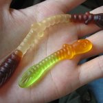 지렁이 꿈의 새로운 해석..