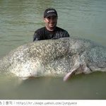 계속 기다려야하나? 조언 좀 부탁드림..굽thin굽thin..