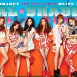 2011 올해에 데뷔한 아이돌그룹들.<b>jpg</b>