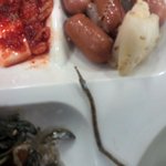 구내식당 <b>멸치볶음</b>에서 나온 정체모를녀석