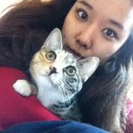 ●매력女 호란 고양이로 <b>빙의</b>한 사진!!