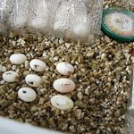 제 독특한 취미를 소개합니닷!!