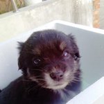 ★★★★★이쁘고 잘생긴 <b>수달</b>이를 소개합니다★★★★★