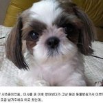 ★★★사진有★★★못 웃기면 <b>지구</b>를 떠나겠습니다 !