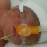 ★★★29주에미숙아1.2kg 태어난 우리아들★★★