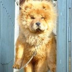 **얼짱신호석님사진도용한놈찾습니다***