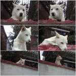 울산 <b>흔</b>남인데 울산 <b>흔녀</b> 없나여?