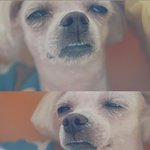 ★★★★★훈남썸남과 달달한<b>일화</b>★★★★