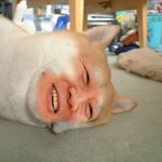 자기얌 봐라...나 <b>인증사진</b>...