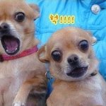 ★핸드폰이 돌아왔어요ㅋ.ㅋ★