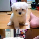 ★★(사진有)<b>엄마다리</b>.....