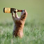 오래간만입니다!!금요일 밤이 다가오고 있어요!!