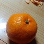 ★어렷을적 귤가지고 이짓해봄★