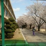 ★★★★사진有)시골에 강남이!!?? + 흔남흔녀★★★★★