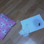 (사진有혐오)우리집에 손가락 만한 <b>벌이</b>!!!!☆★☆★☆★