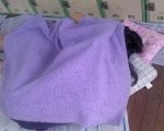 ★☆★(사진有)전국의 따시녀들은 모두 좀<b>비인</b>가요★☆★