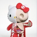 ★★★★★★★★★★<b>키티</b>해부학 ★★★★★★★★★★★★★★