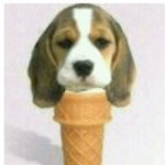 ☆★이런걸진정한<b>개콘</b>이라하는거란다☆★