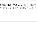 (사진有)+++++베플로숟가락파마도전+++++