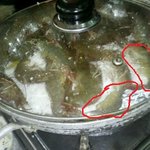 ★☆★<b>새우</b>구이드실때 확인하고 드세요 ㅡㅡ