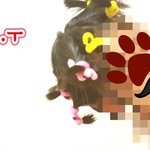 ★★ [사진有] 종이파마?<b>백업</b>파마? 난 머루파마! ★★