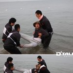 올레내비 <b>캠핑</b> 이벤트 후기 된 분 글 봤는데