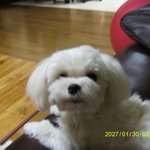 ★☆★☆우리애기 혀가잘렷어요ㅠㅠㅠ★☆★☆