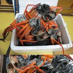 <b>대게</b>의 참사... 내 <b>대게</b>...