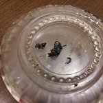 <b>냉동</b> 블루베리에서 커다란 벌레 나오다..!!