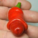 시바<b>새</b>키<<벽잡고 딸치는 <b>사진</b>인증