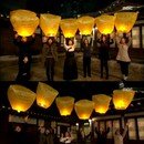 불굴의 쥐며느리