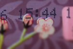 여성용품에서 이<b>물질</b> 검출. (스압/사진有)