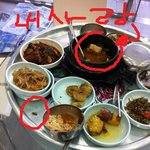 (사진有) 바퀴벌레님하 안녕