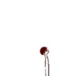 헤어진 다음날
